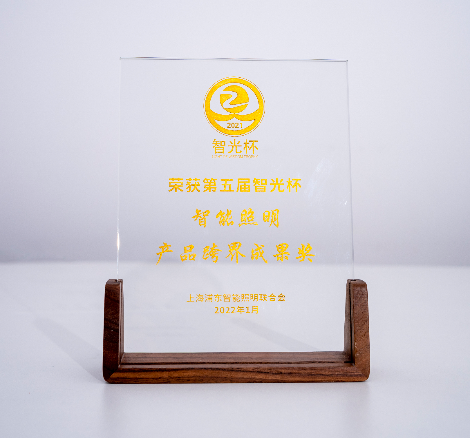 智能照明產品跨界成就獎